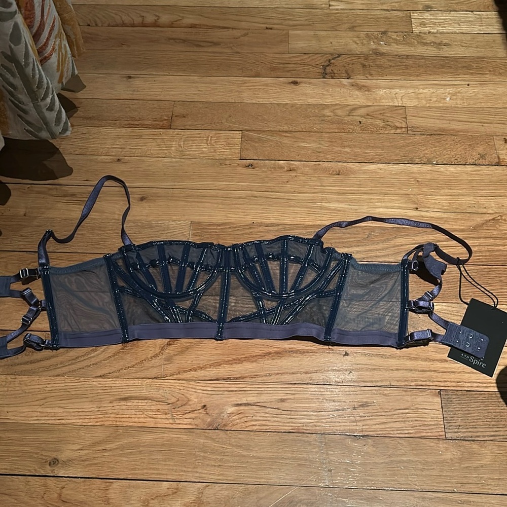 Thistle and Spire Bustier and Garter Belt Set
